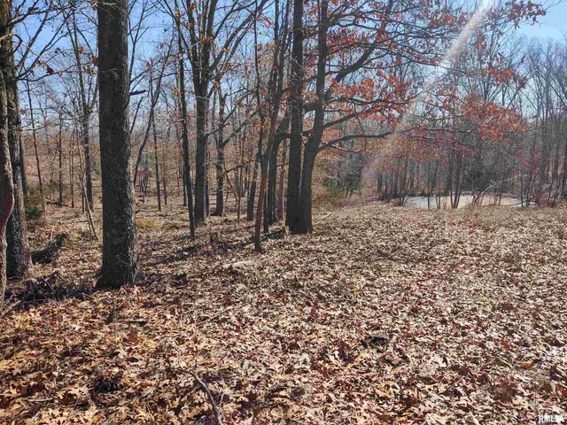 $299,000 | 425 Pioneer Lane, Vienna, IL 62995