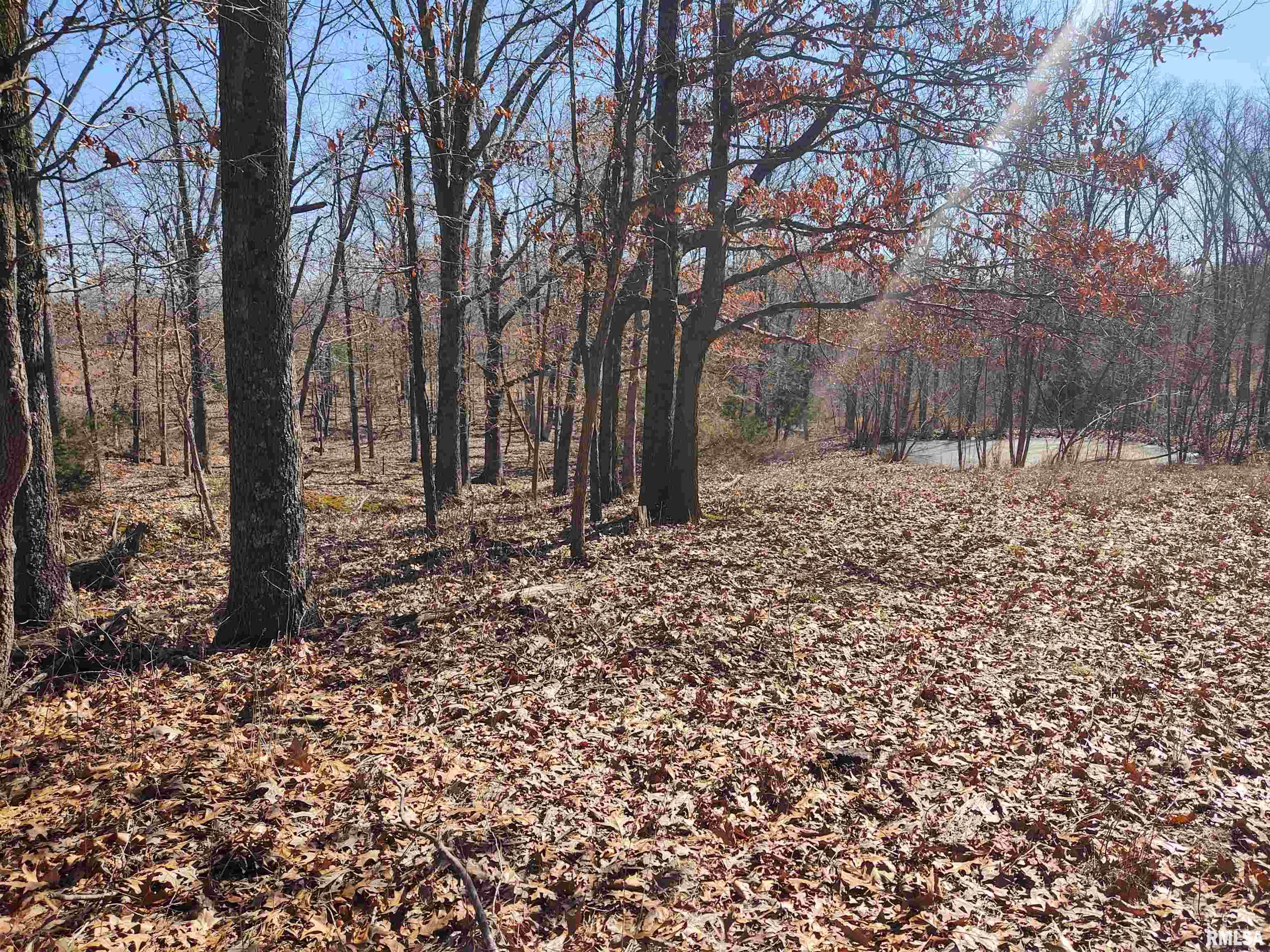 425 Pioneer Lane Vienna, IL 62995 - Photo 47 of 52