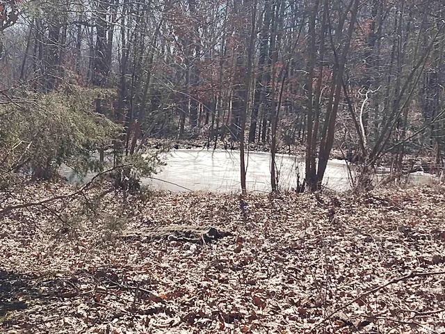 $299,000 | 425 Pioneer Lane, Vienna, IL 62995