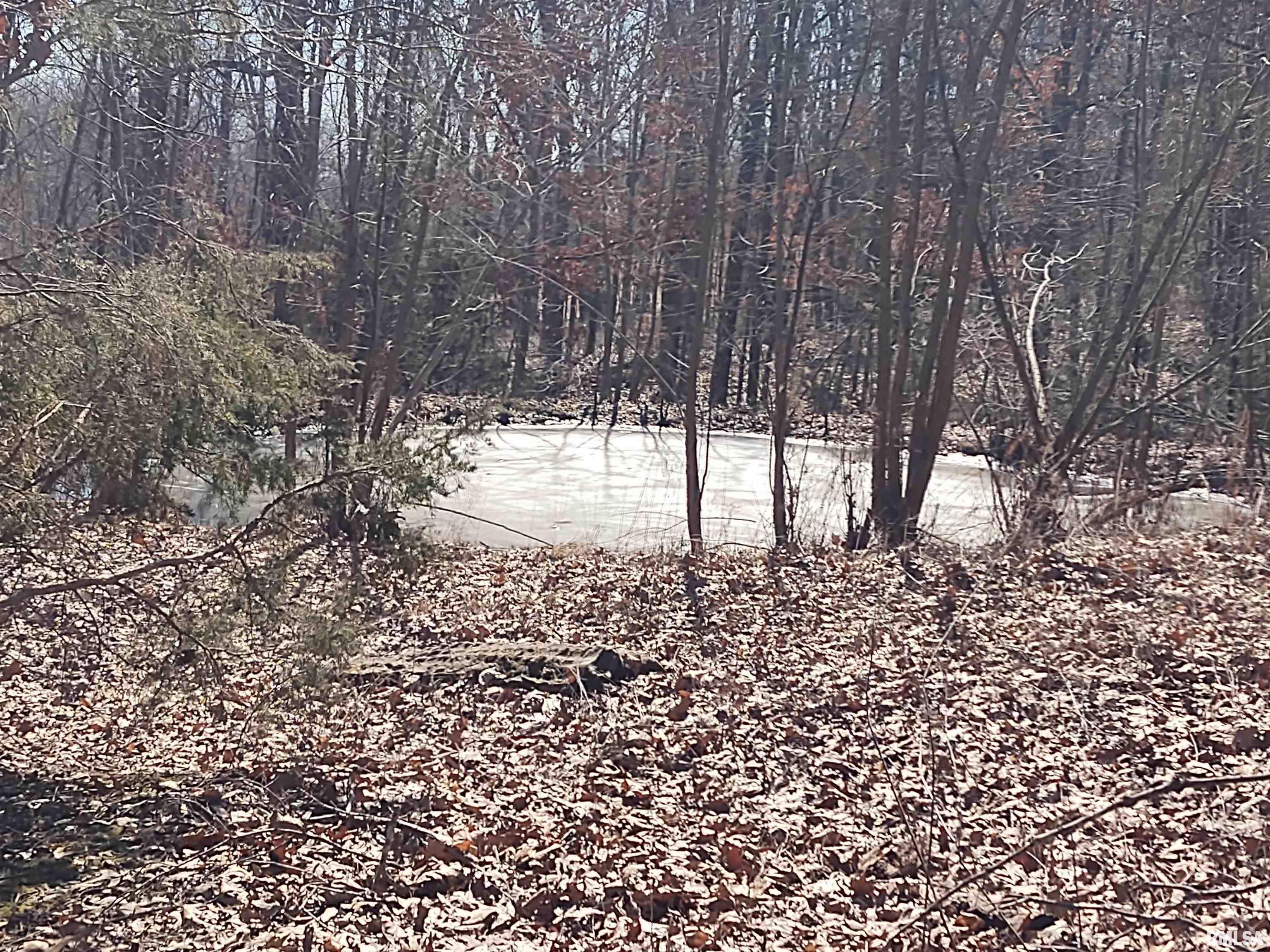 425 Pioneer Lane Vienna, IL 62995 - Photo 48 of 52