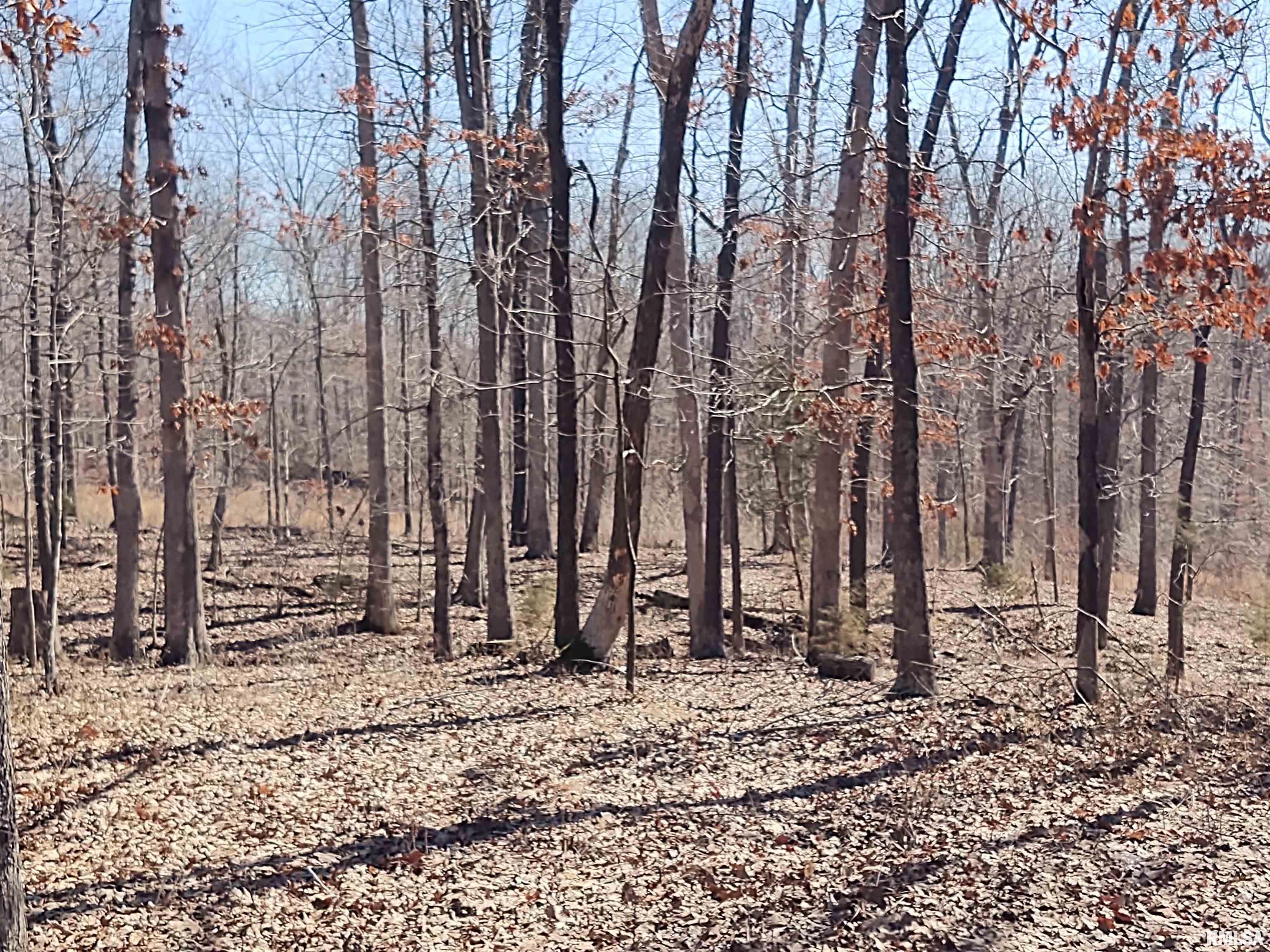 425 Pioneer Lane Vienna, IL 62995 - Photo 49 of 52