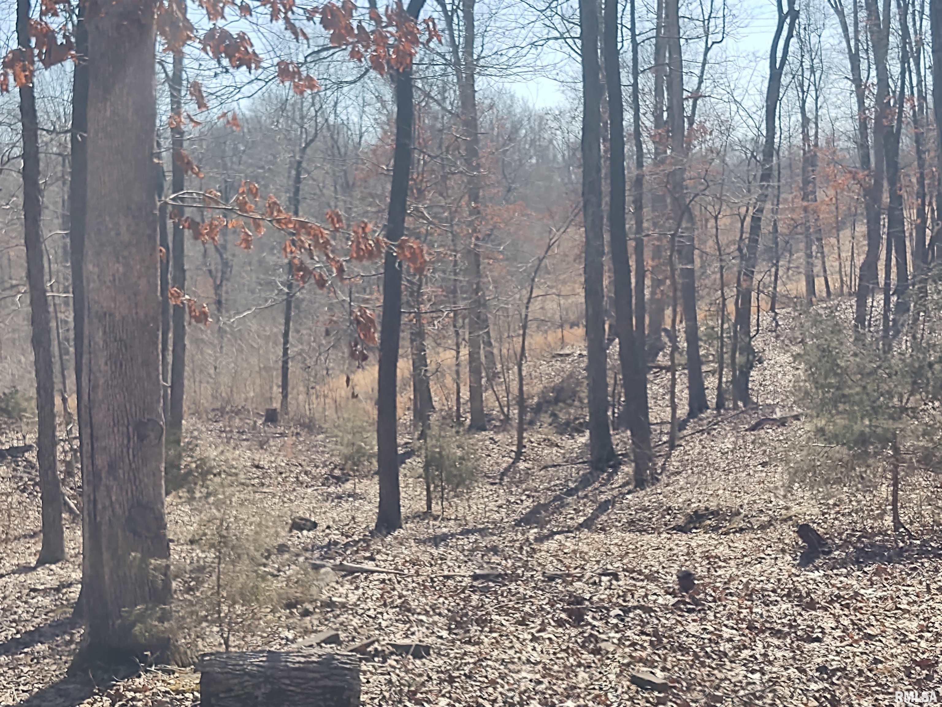 425 Pioneer Lane Vienna, IL 62995 - Photo 50 of 52