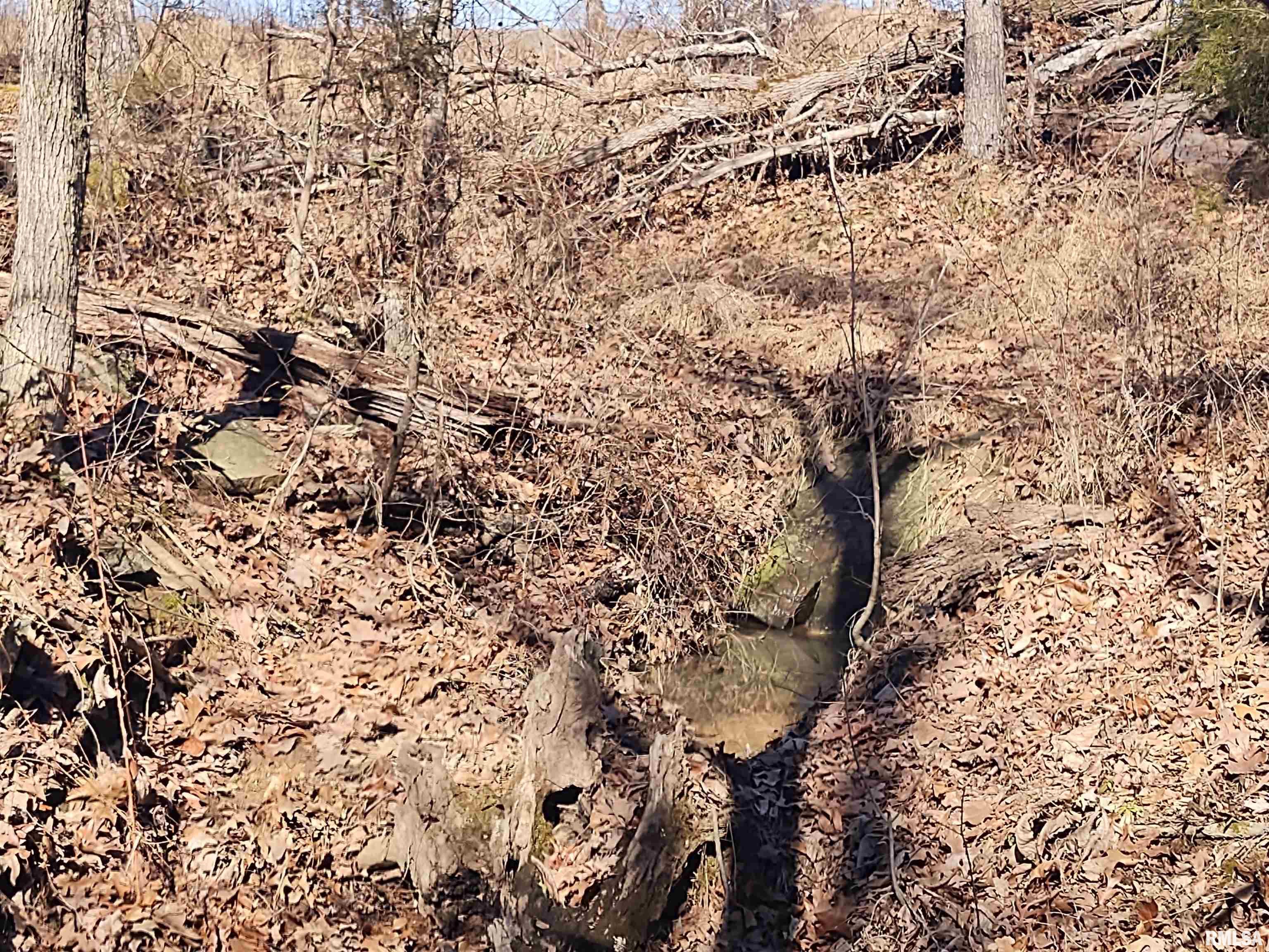 425 Pioneer Lane Vienna, IL 62995 - Photo 51 of 52