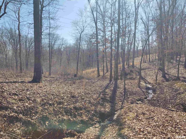 $299,000 | 425 Pioneer Lane, Vienna, IL 62995