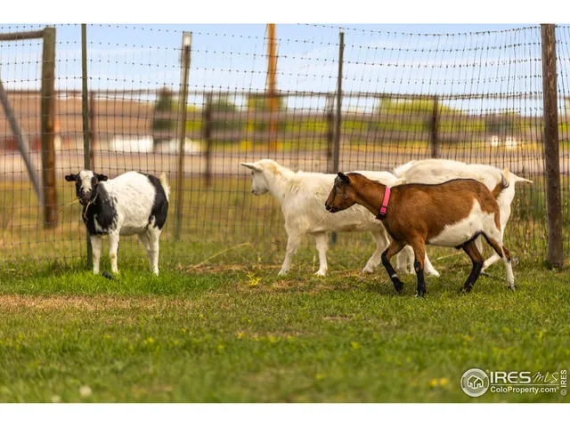 $1,750,000 | 4260 South County Road 23, Loveland, CO 80537