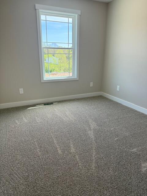466 Eagle Creek Drive Dry Ridge, KY 41035 - Photo 20 of 32 Gallery Image 20