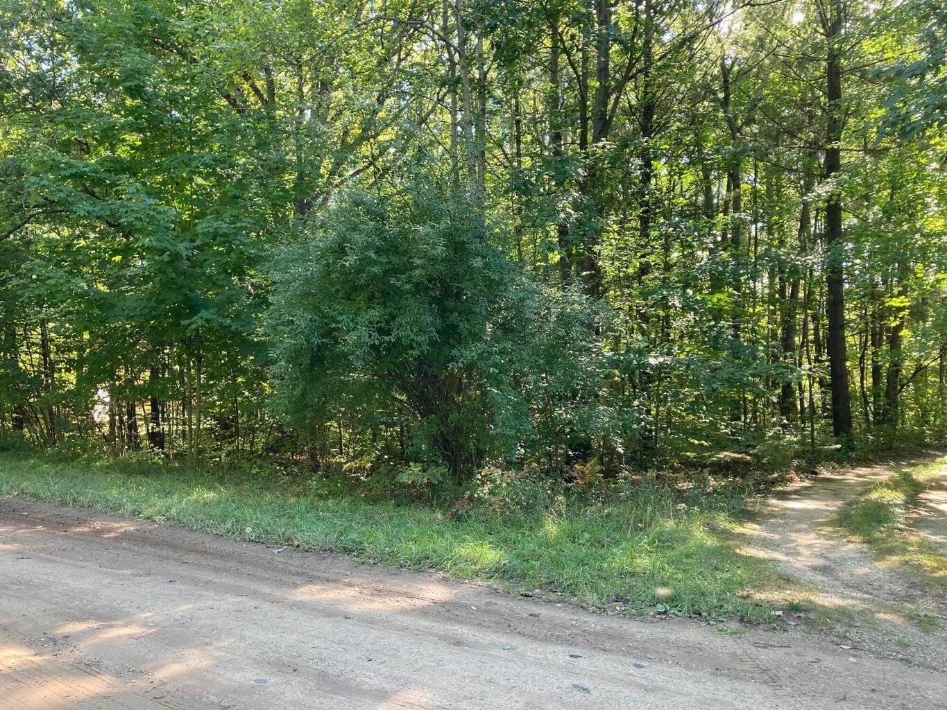 763 West Deer Run Road Free Soil, MI 49411 - Photo 8 of 10 TD10