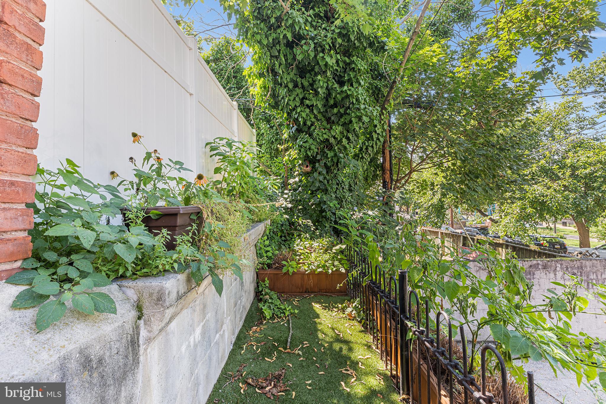 157 Cotton Street Philadelphia, PA 19127 - Photo 22 of 26 a view of a garden