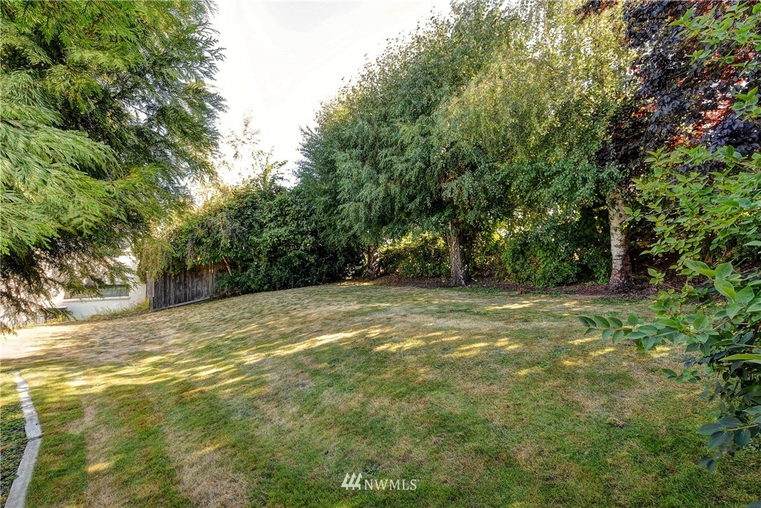 1018 North 36th Street Renton, WA 98056 - Photo 22 of 37 a view of a yard with a trees