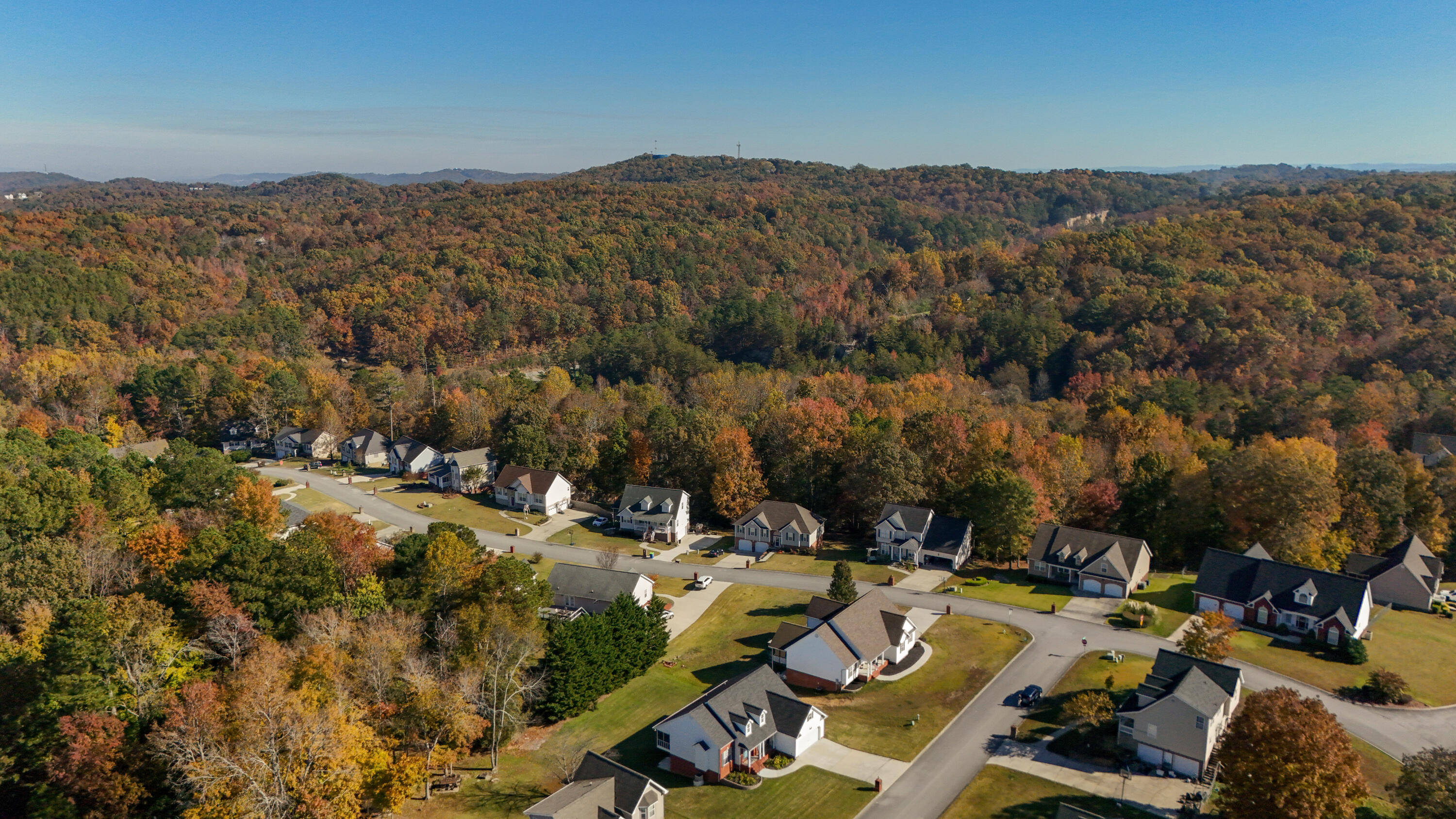 433 Stanford Drive Flintstone, GA 30725 - Photo 49 of 50 stanford-drone-11