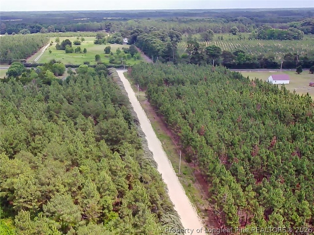 Gainey Road Raeford, NC 28376 - Photo 3 of 5