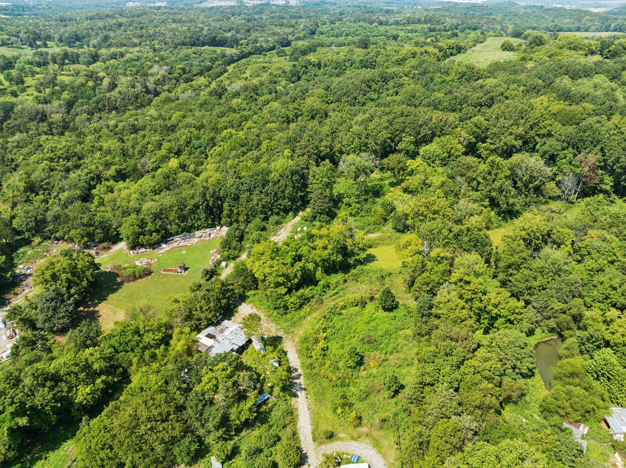 576 Nokes Road Lebanon, TN 37090 - Photo 6 of 11 a view of a forest with a street
