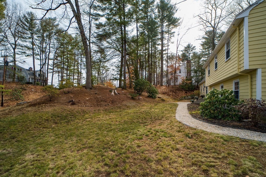 8 Meadowview Road Wayland, MA 01778 - Photo 3 of 40 a view of a yard with plants and trees