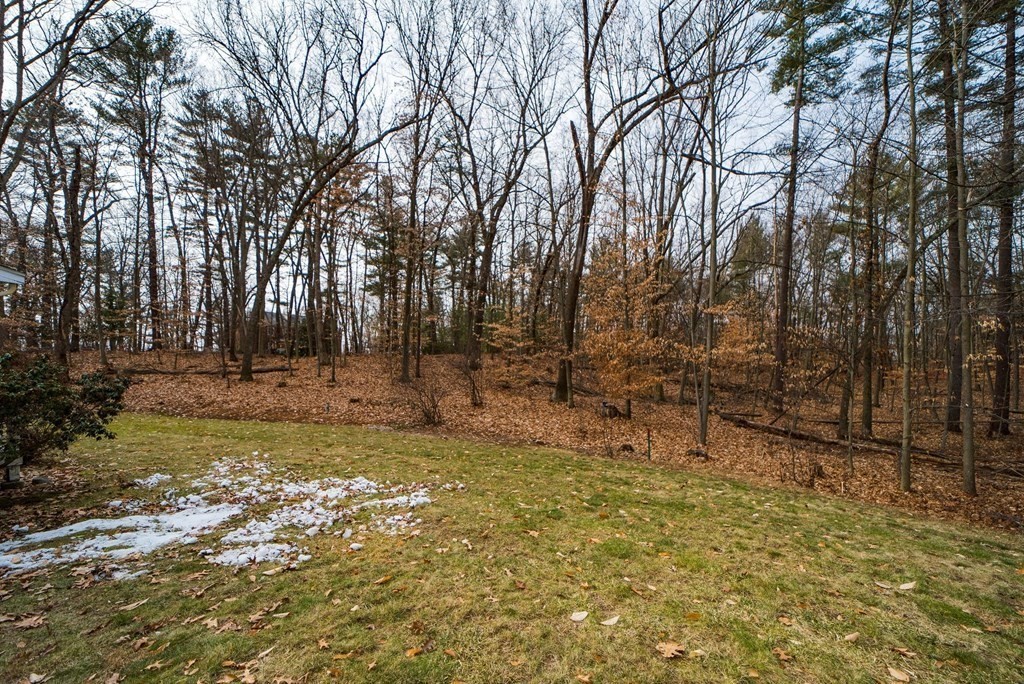 8 Meadowview Road Wayland, MA 01778 - Photo 8 of 40 a view of backyard with green space