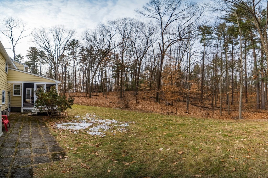 8 Meadowview Road Wayland, MA 01778 - Photo 9 of 40 a view of a yard with a tree