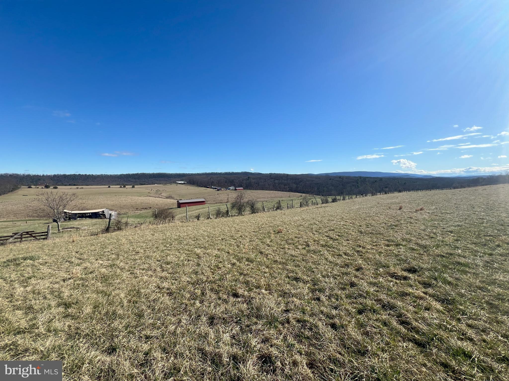 13042 Woodmont Road Hancock, MD 21750 - Photo 11 of 69