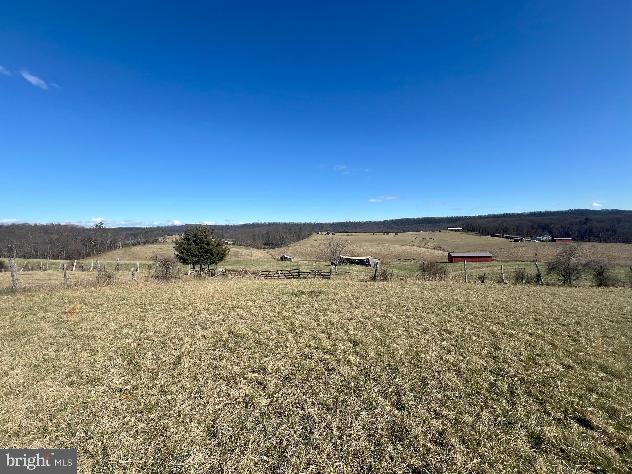 13042 Woodmont Road Hancock, MD 21750 - Photo 12 of 69