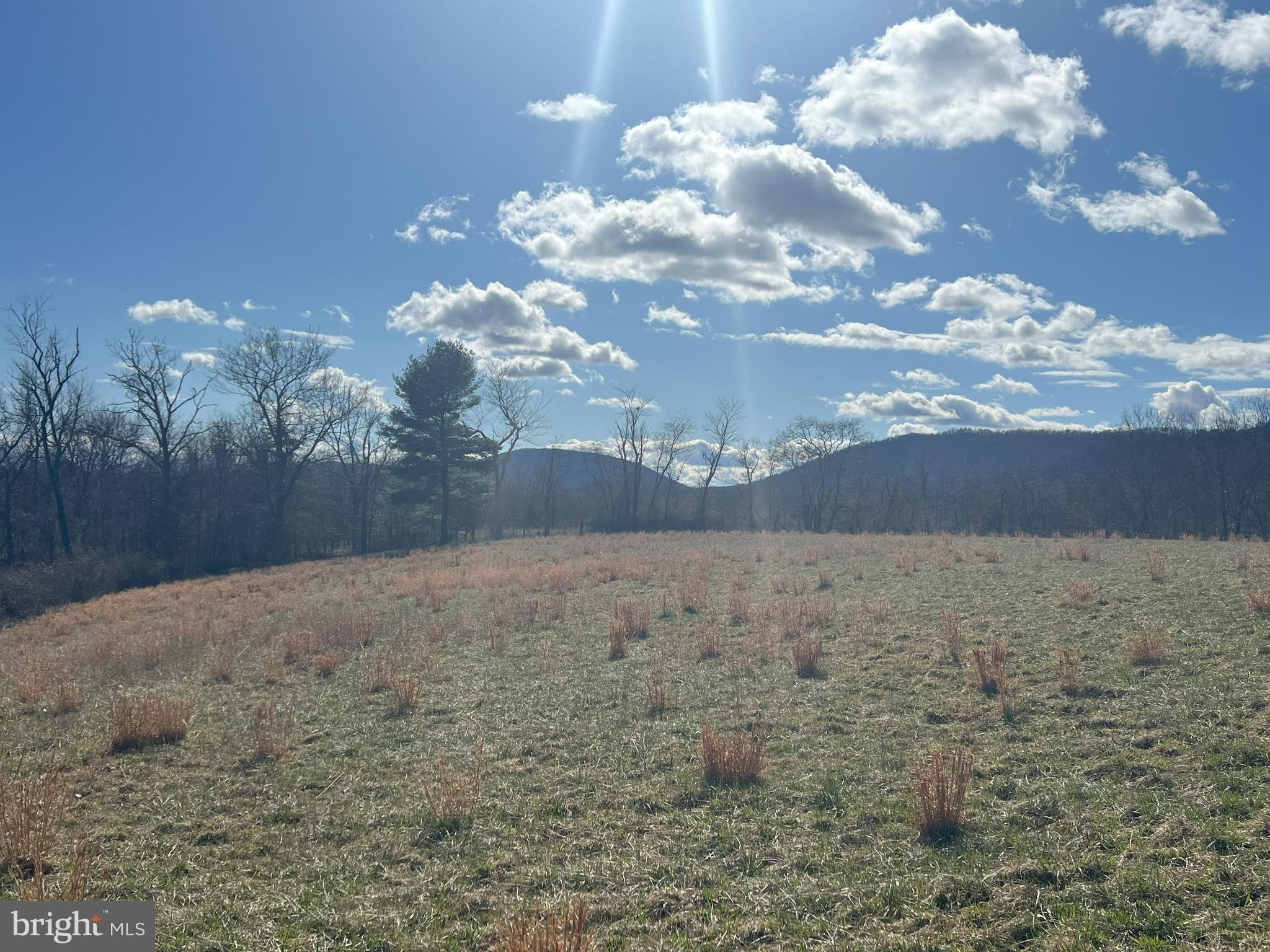 13042 Woodmont Road Hancock, MD 21750 - Photo 17 of 69