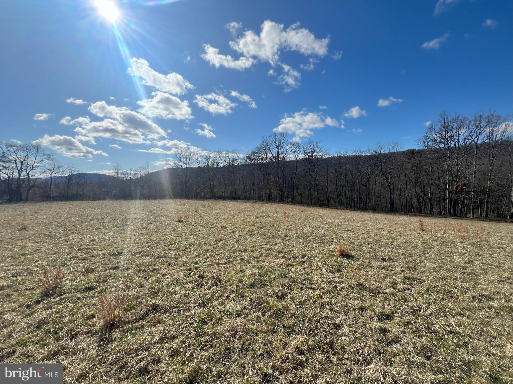 13042 Woodmont Road Hancock, MD 21750 - Photo 18 of 69