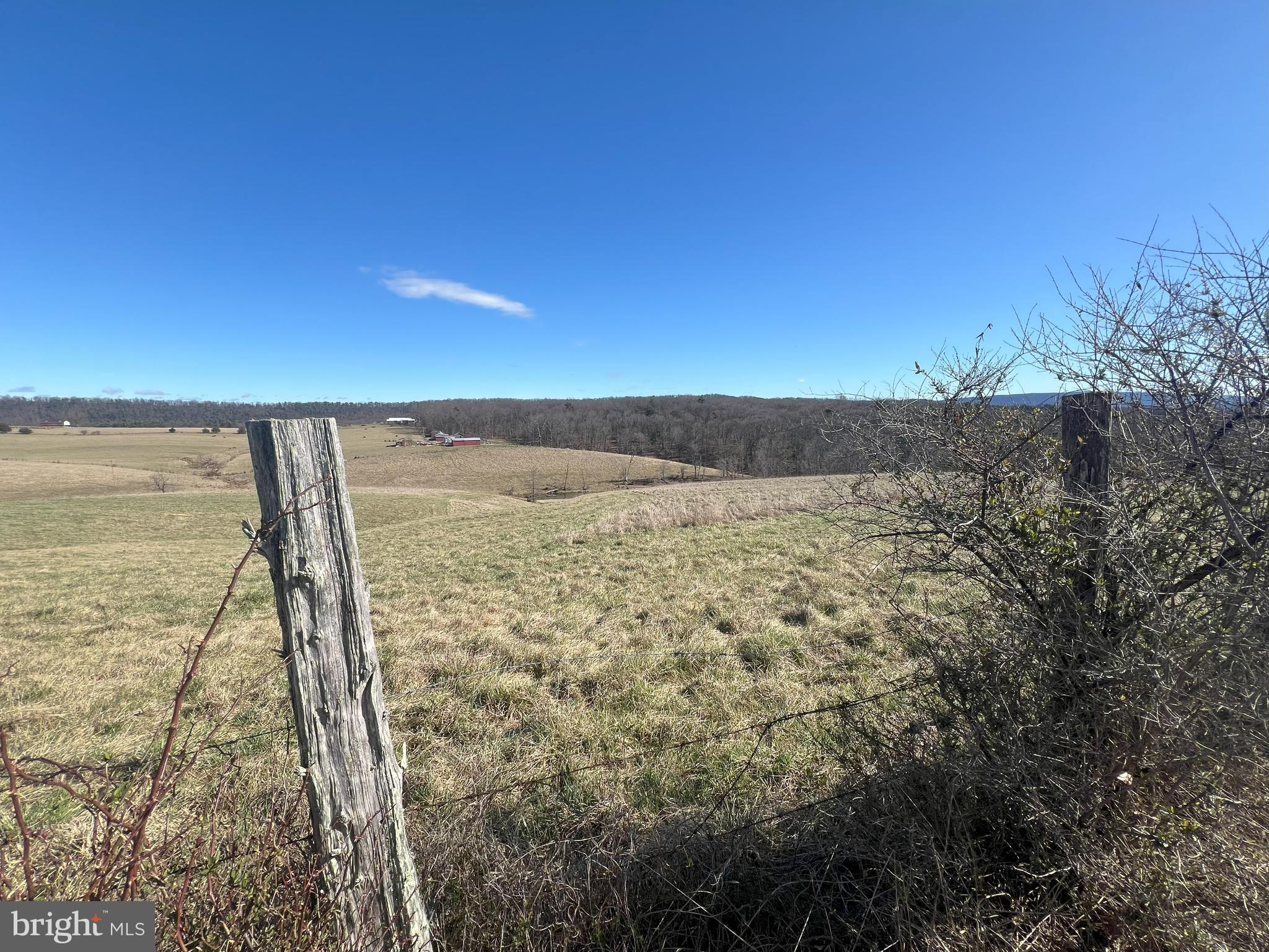 13042 Woodmont Road Hancock, MD 21750 - Photo 20 of 69