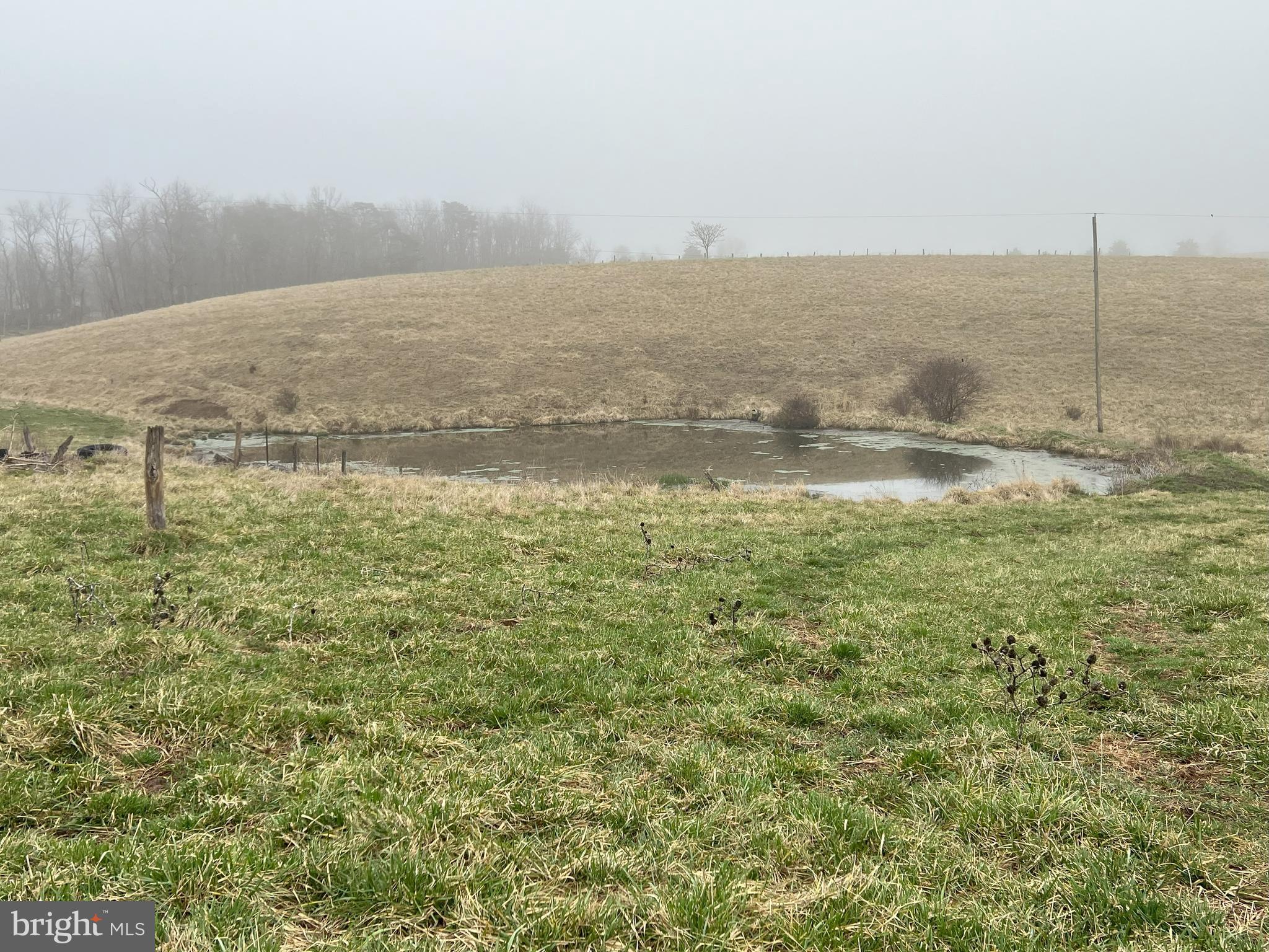 13042 Woodmont Road Hancock, MD 21750 - Photo 3 of 69