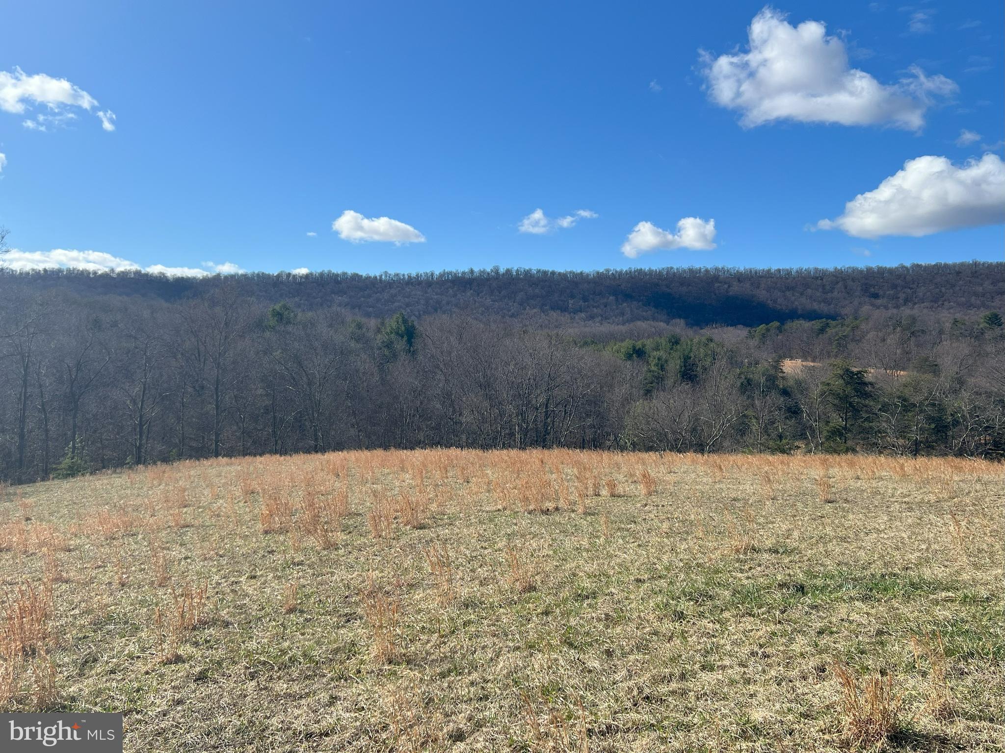 13042 Woodmont Road Hancock, MD 21750 - Photo 33 of 69