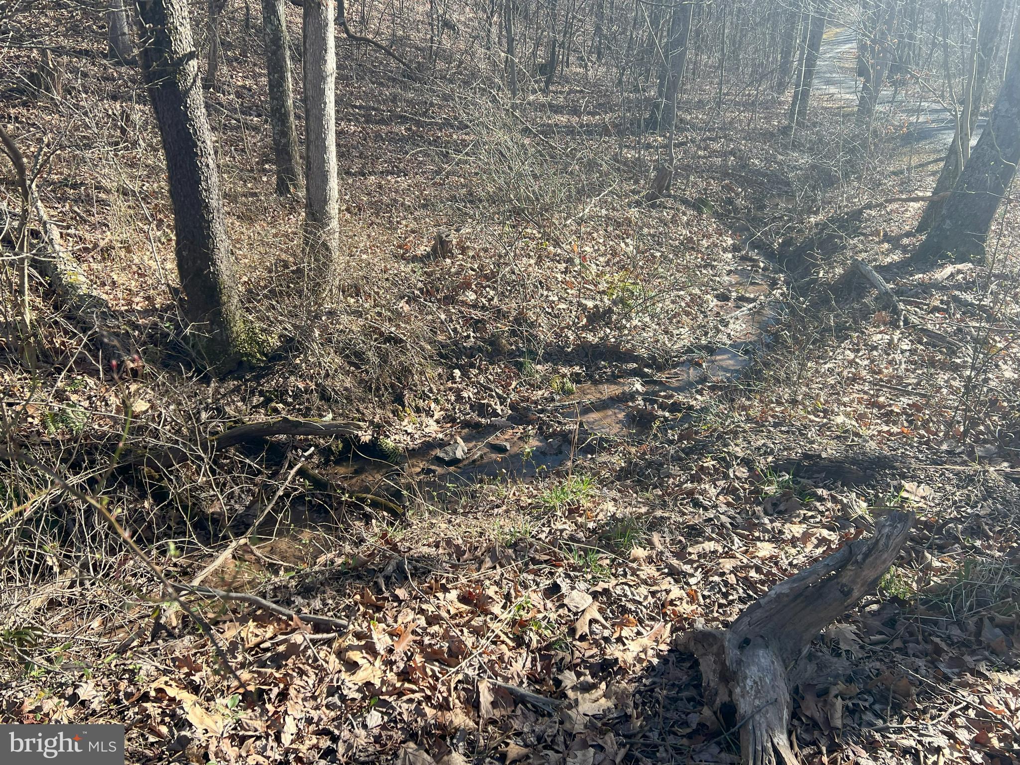 13042 Woodmont Road Hancock, MD 21750 - Photo 35 of 69