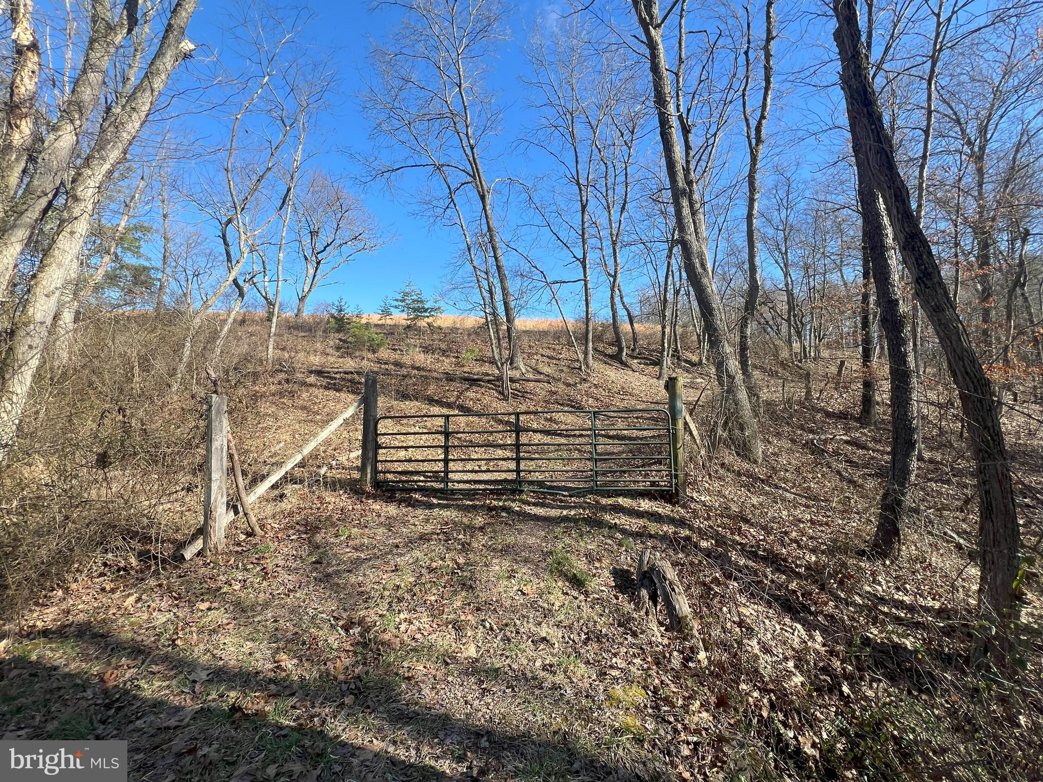 13042 Woodmont Road Hancock, MD 21750 - Photo 36 of 69