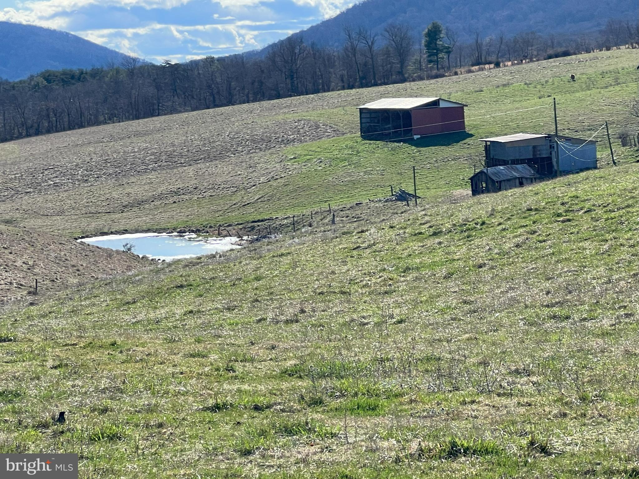 13042 Woodmont Road Hancock, MD 21750 - Photo 38 of 69