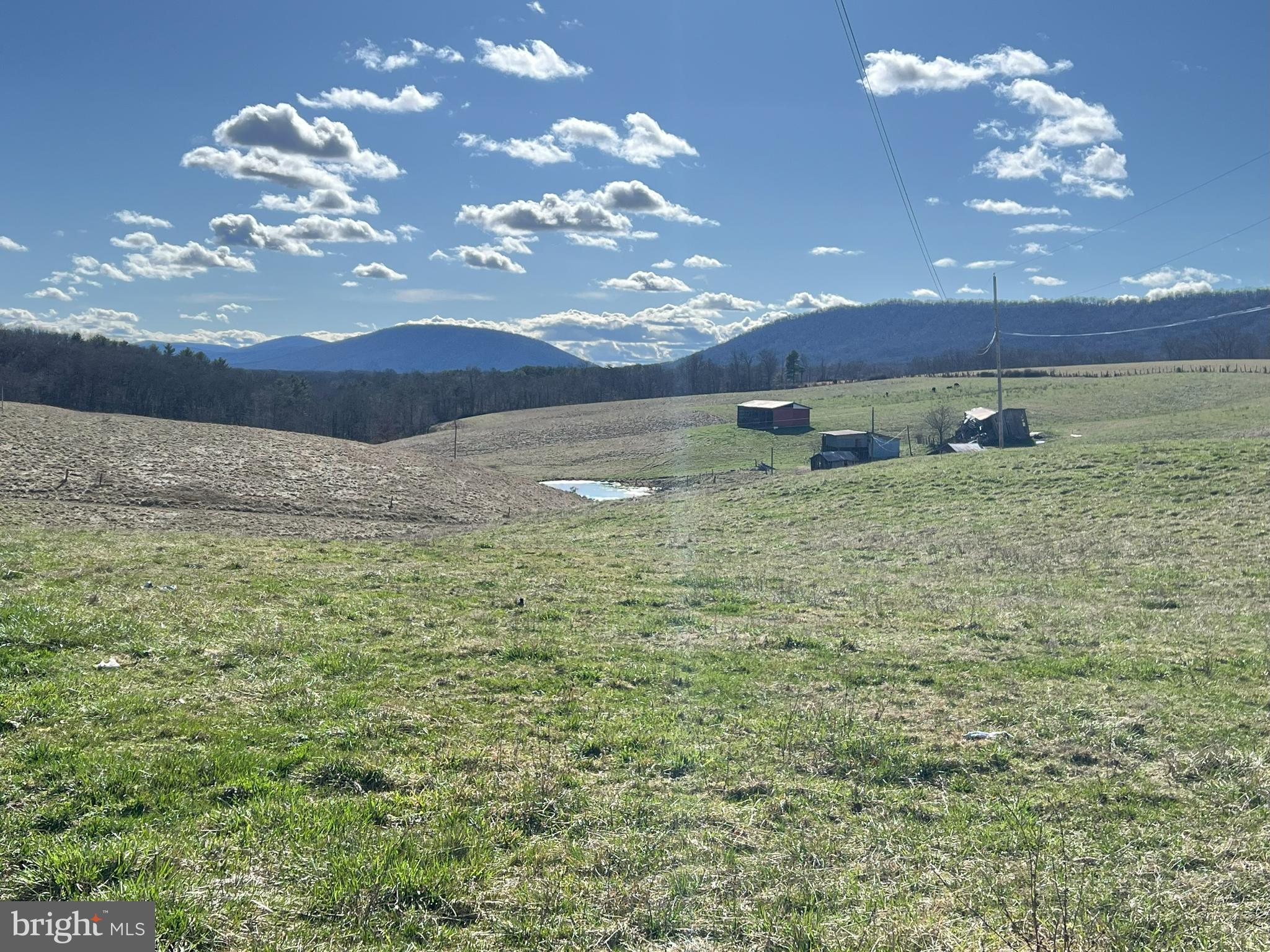 13042 Woodmont Road Hancock, MD 21750 - Photo 41 of 69