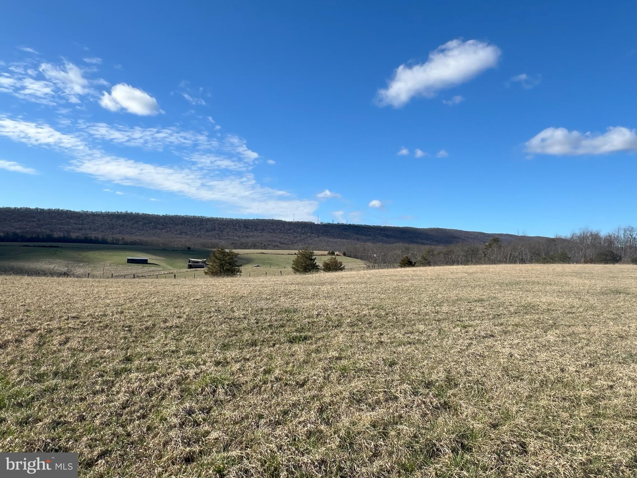 13042 Woodmont Road Hancock, MD 21750 - Photo 48 of 69