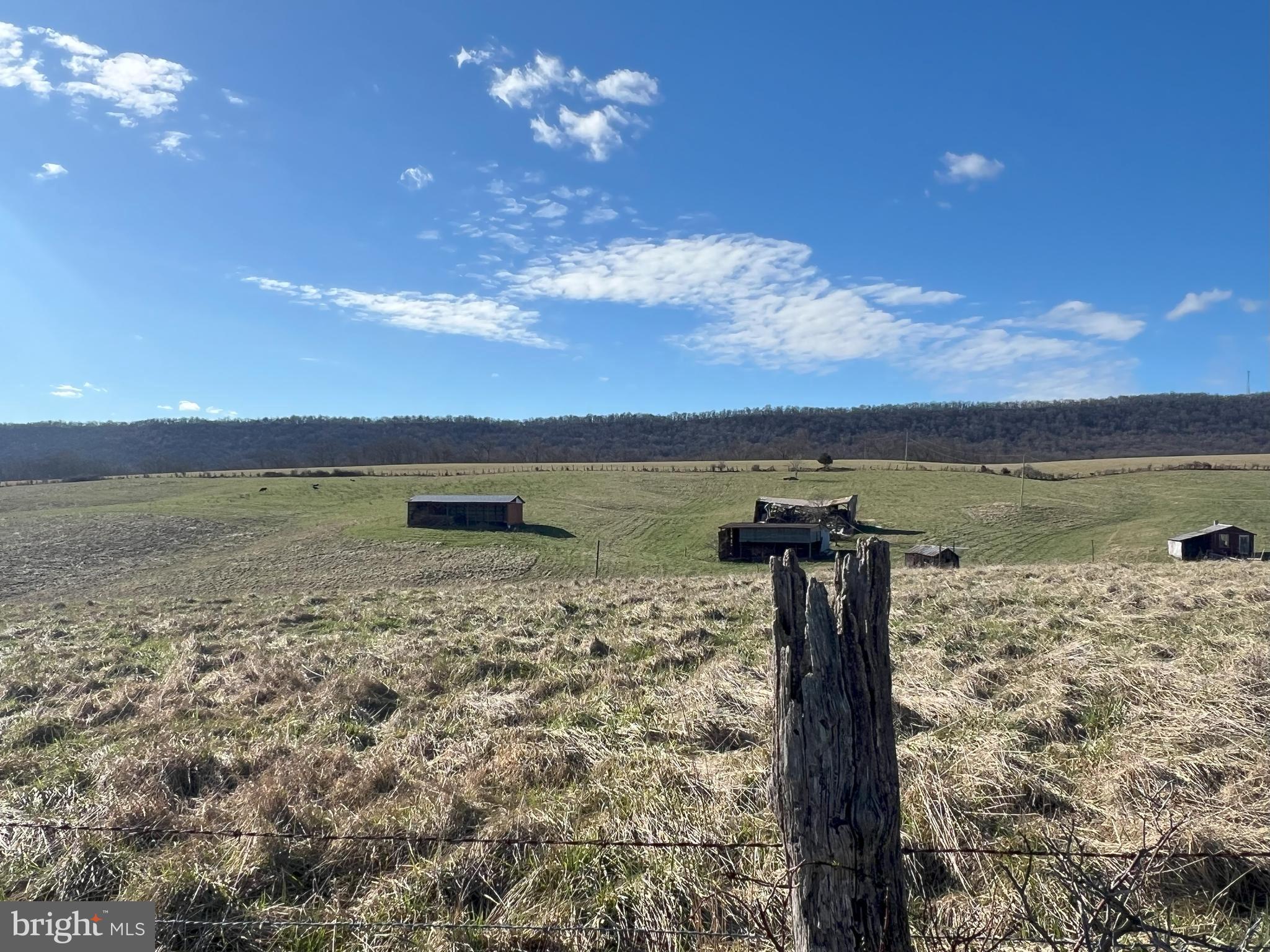 13042 Woodmont Road Hancock, MD 21750 - Photo 61 of 69