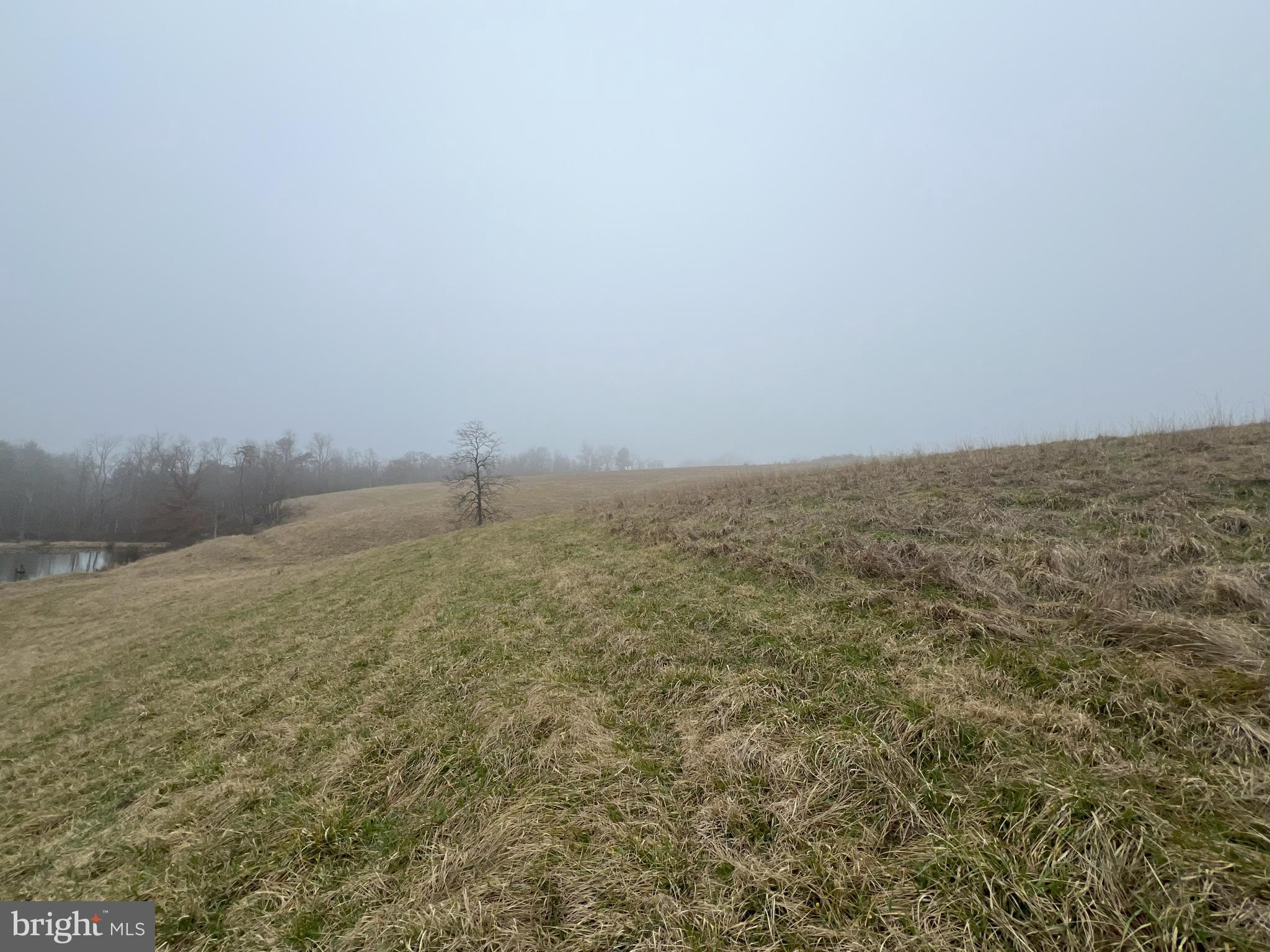 13042 Woodmont Road Hancock, MD 21750 - Photo 8 of 69