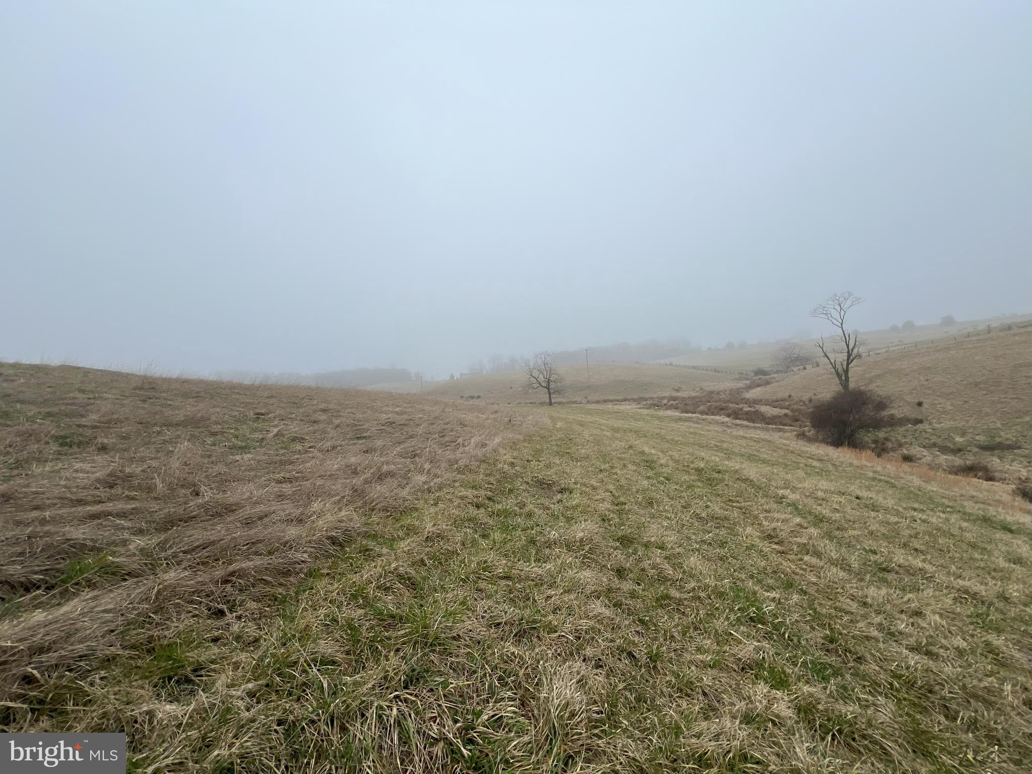 13042 Woodmont Road Hancock, MD 21750 - Photo 9 of 69