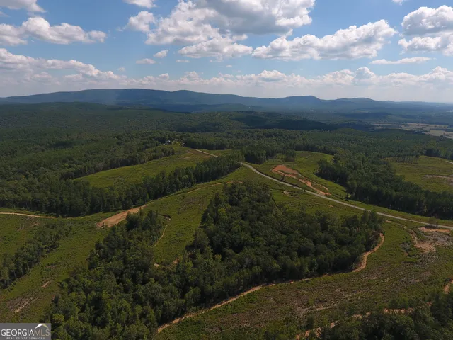 $850,000 | 0 Johnson Mountain Road, Unit 7401K, Fairmount, GA 30139