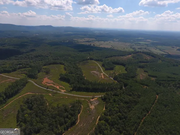 $850,000 | 0 Johnson Mountain Road, Unit 7401K, Fairmount, GA 30139