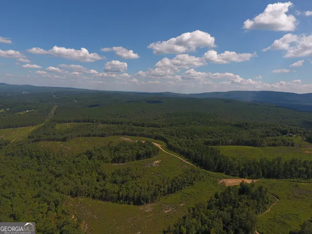 $850,000 | 0 Johnson Mountain Road, Unit 7401K, Fairmount, GA 30139