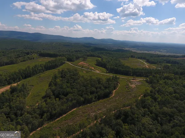 $850,000 | 0 Johnson Mountain Road, Unit 7401K, Fairmount, GA 30139