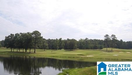 1005 Valhalla Way Calera, AL 35040 - Photo 29 of 30