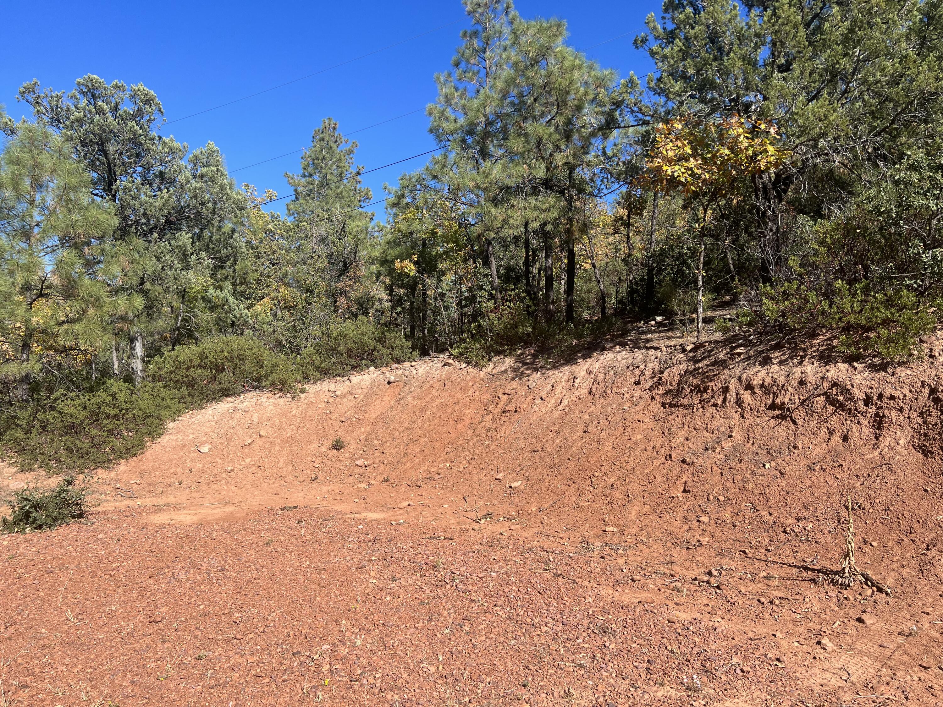 4863 Fuller Road Pine, AZ 85544 - Photo 5 of 9 a view of snow on the side of a road