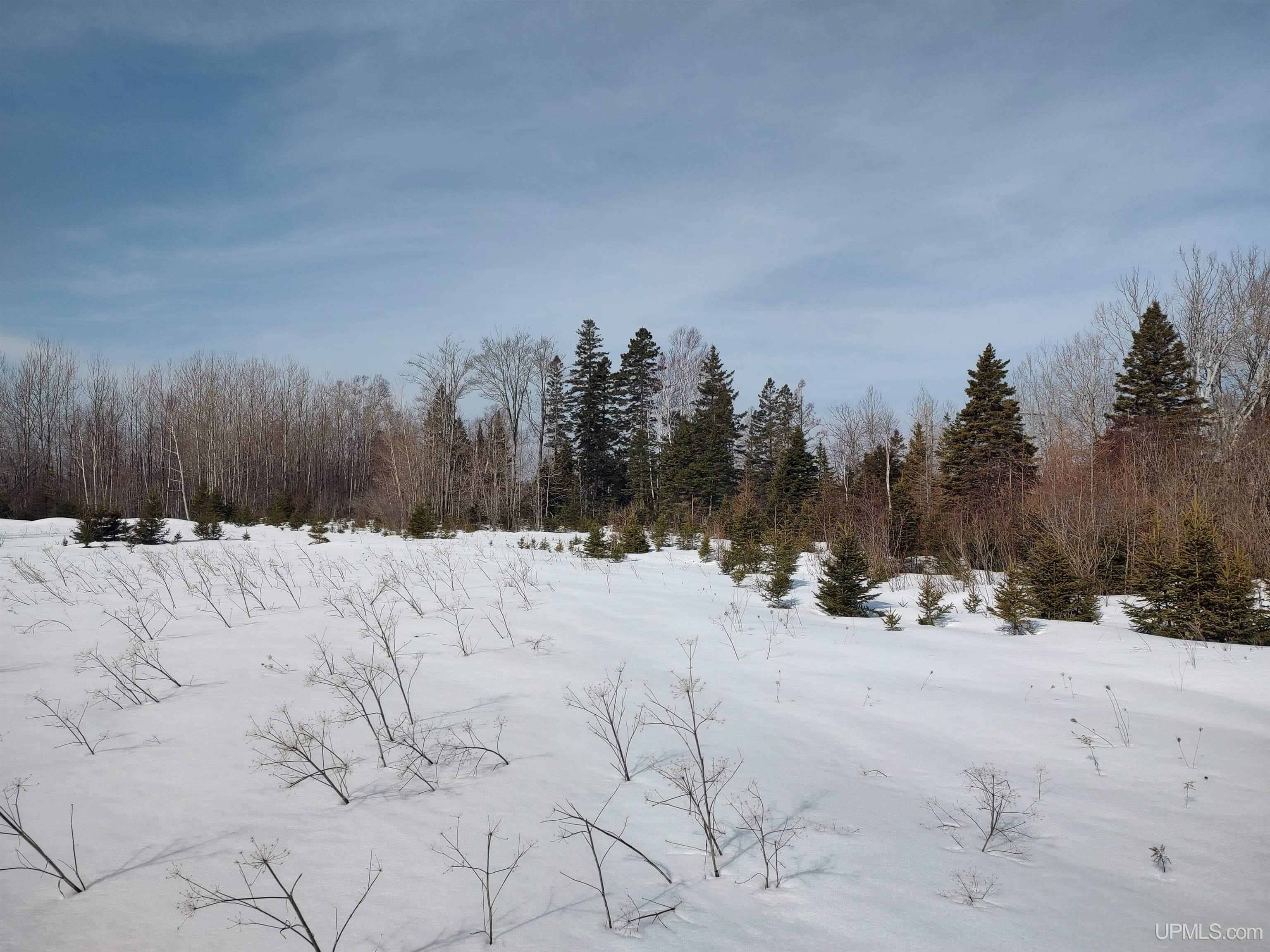 30-acres Parkington Road Gulliver, MI 49840 - Photo 20 of 31