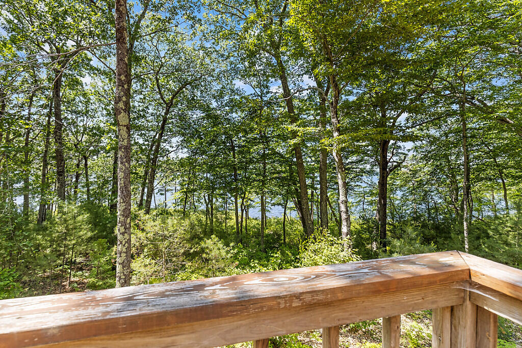 176 Perkins Beach Road Wayne, ME 04284 - Photo 50 of 75 47_BP5A0453_DxO_mls