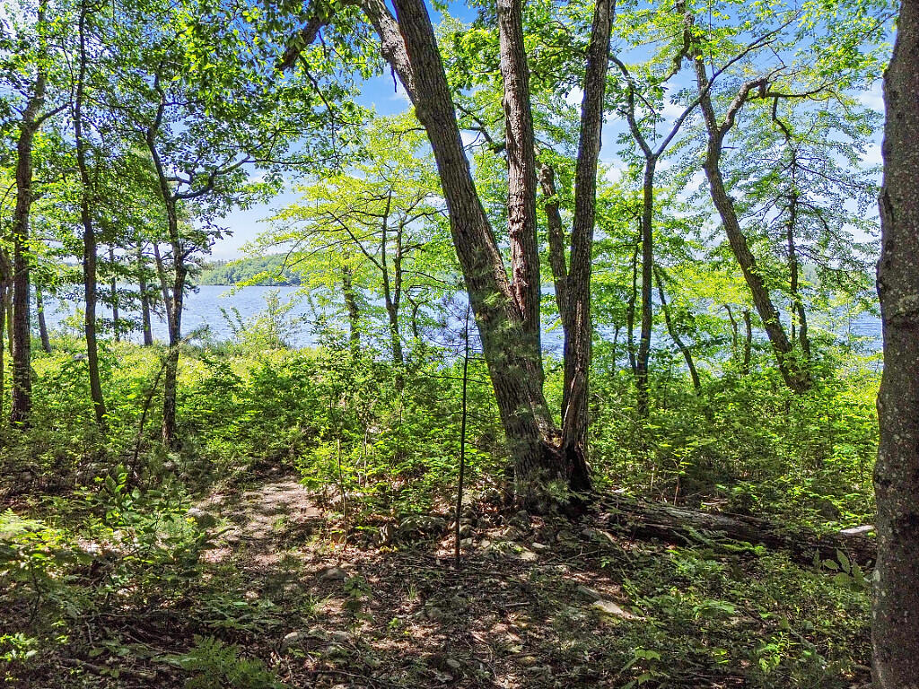 176 Perkins Beach Road Wayne, ME 04284 - Photo 66 of 75 64_DJI_0522_DxO_mls