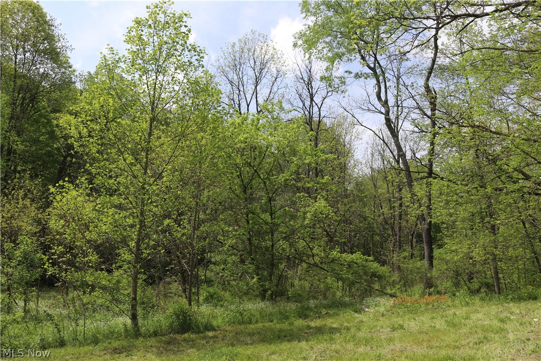 30700 Ferguson Road Tippecanoe, OH 44699 - Photo 9 of 17 Gallery Image 9
