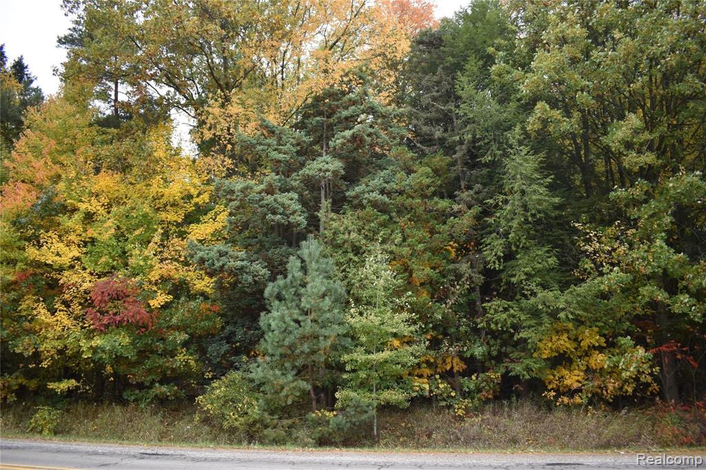 Parcel-d North Nicholson Road Fowlerville, MI 48836 - Photo 1 of 3