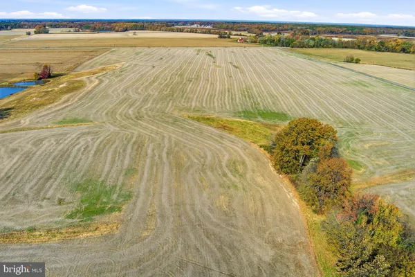 a view of an ocean and beach