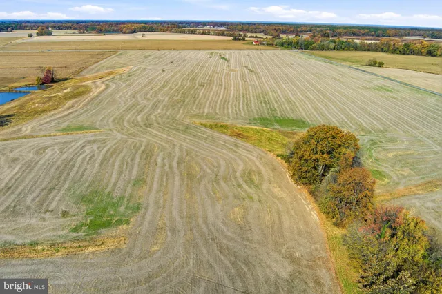 a view of an ocean and beach
