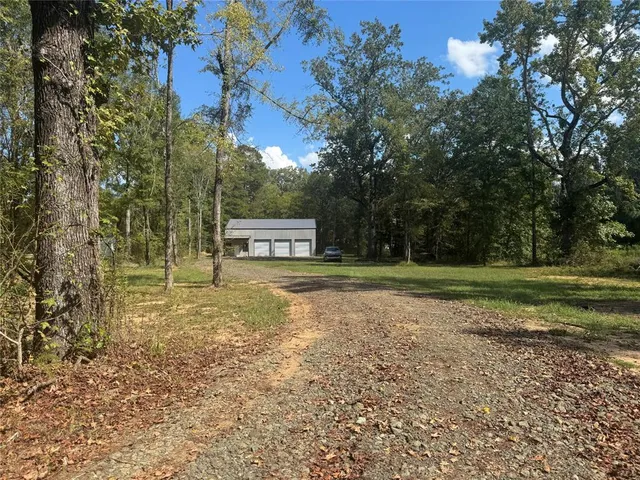 a view of a trees with a yard