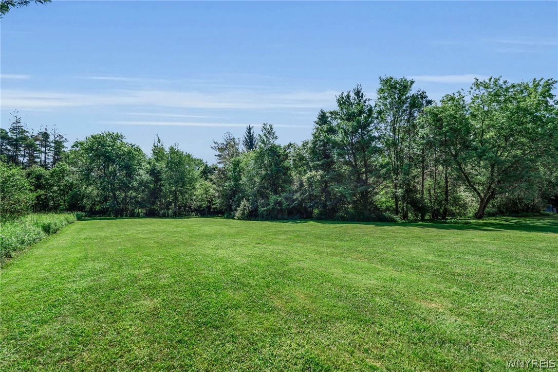 13220 Big Tree Road Wales, NY 14037 - Photo 12 of 45