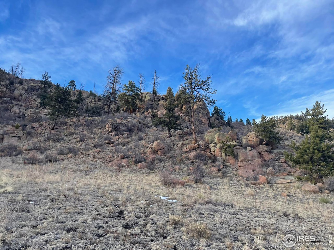 0 Slater Creek Road Guffey, CO 80820 - Photo 16 of 19 a view of a dry yard with lots of bushes